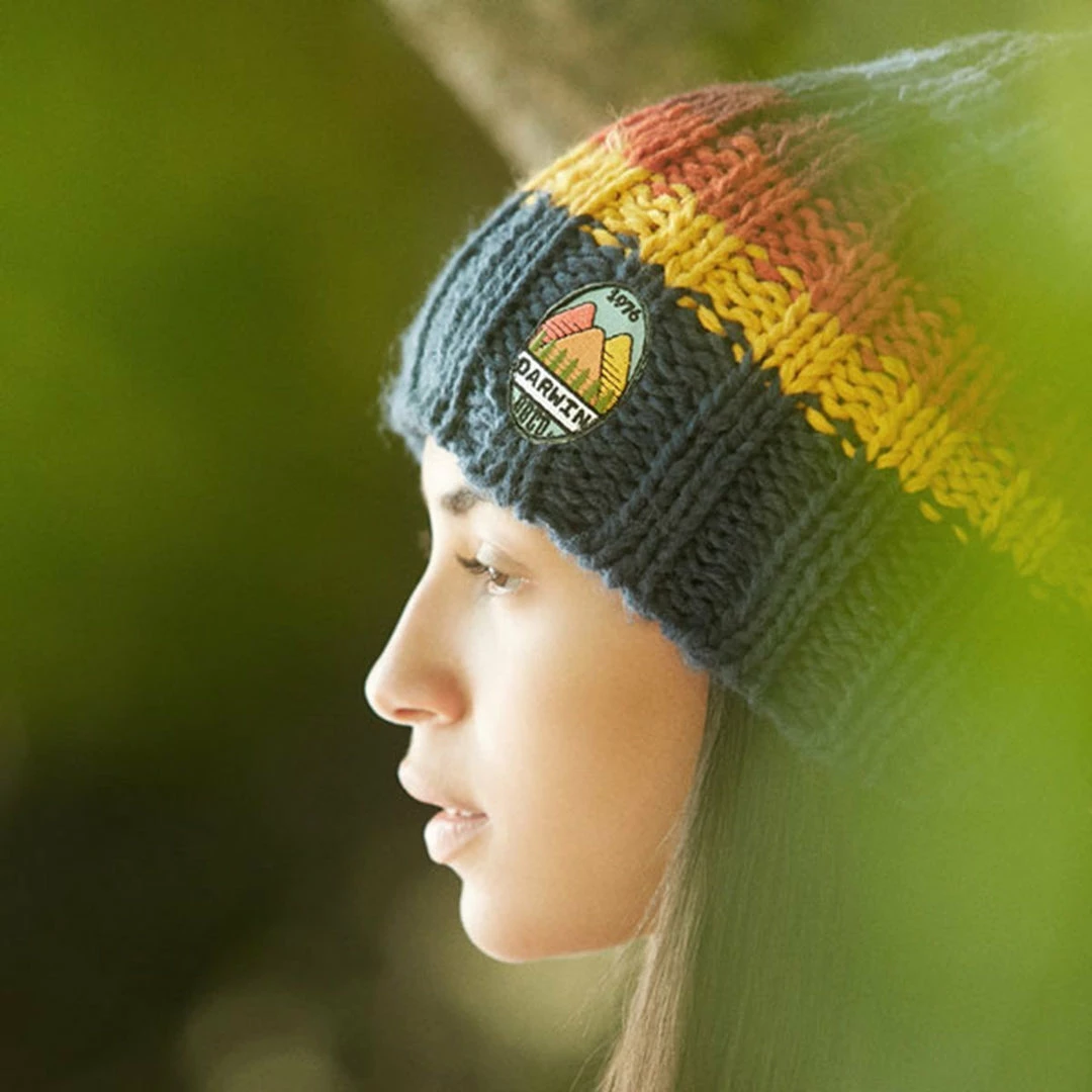 BBCo Stripe Darwin Beanie