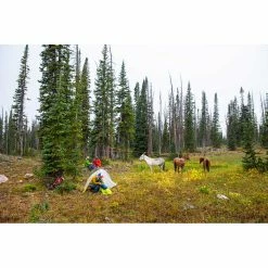 Big Agnes Fly Creek HV UL1 SDF Tent