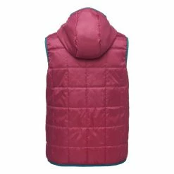 Cotopaxi New Teca Calido Hooded Vest | Women's