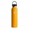 Hydro Flask 24 Oz Standard Mouth New