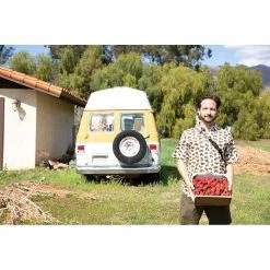 KAVU Chilli Lite Short | Men's New