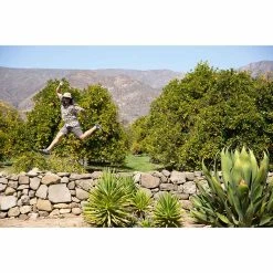 KAVU Hit The Road Short | Men's New