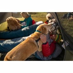 Kelty Grand Mesa 4 Tent