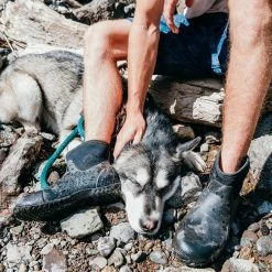 Muck Boots Co Muckster II Ankle Shoe - Men's