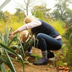 Muck Boots Co Muckster II Low Shoe | Women's