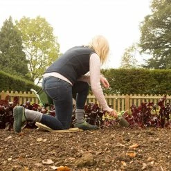 Muck Boots Co Muckster II Low Shoe | Women's