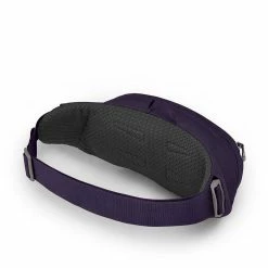 Osprey Bags & EDC Daylite Waist
