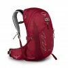 Osprey Bags & EDC Talon 22 Backpack | Men's