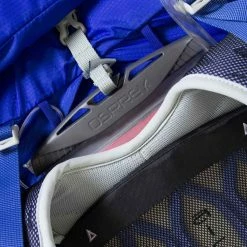 Osprey Bags & EDC Tempest 20 Backpack | Women's