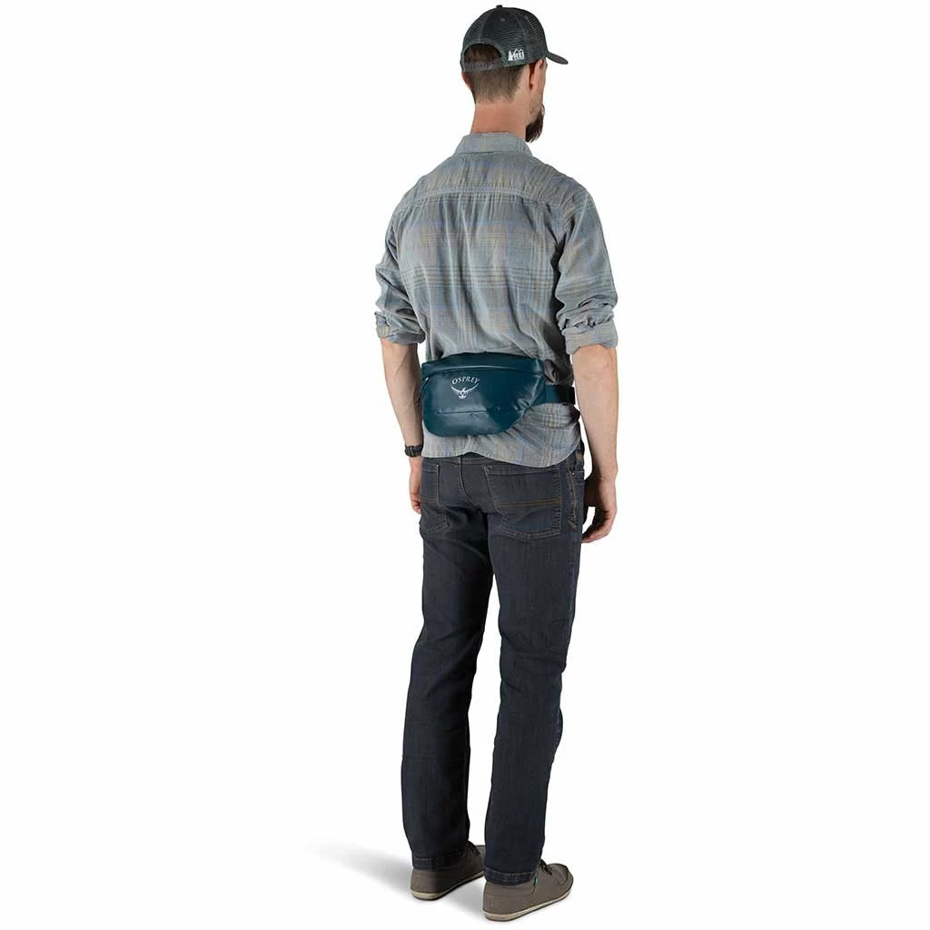 Osprey Transporter Waist