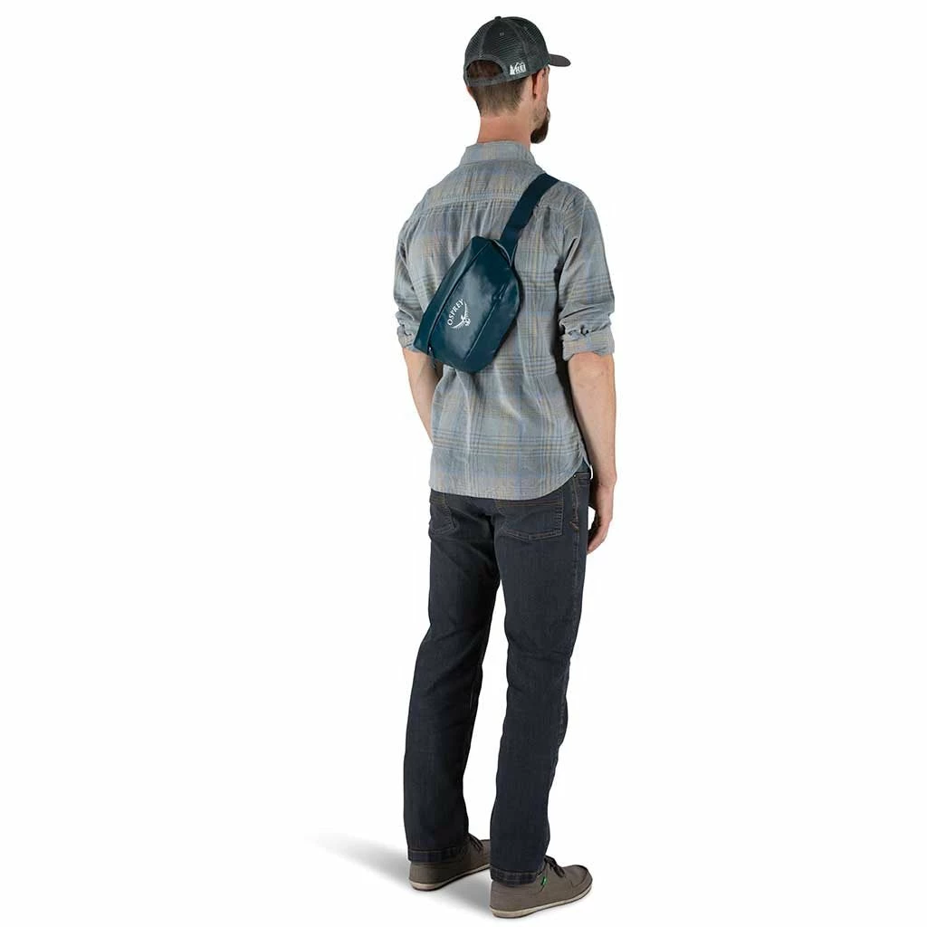 Osprey Transporter Waist