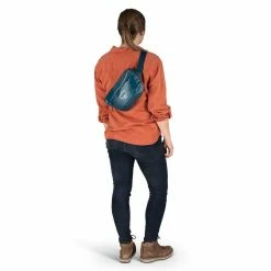 Osprey Transporter Waist