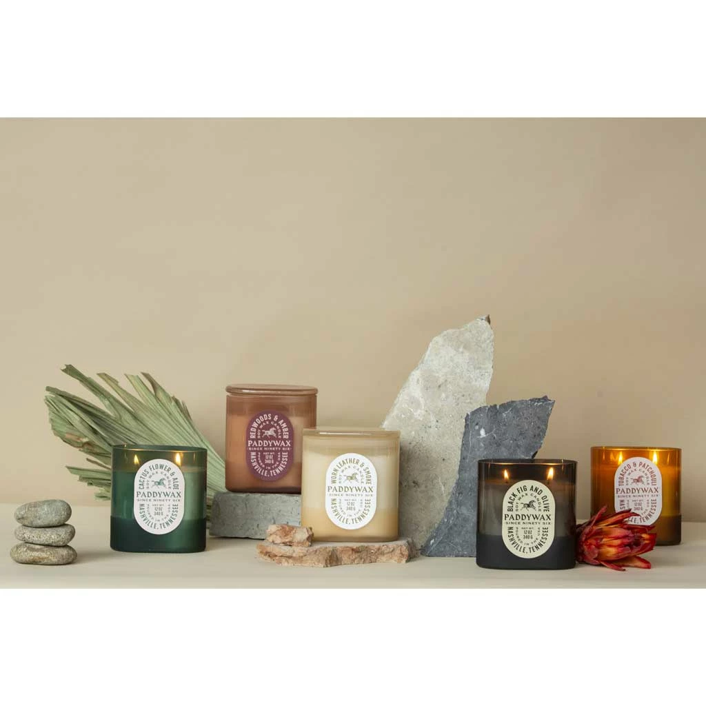 Paddywax Home, Garden & Cooking Vista 12oz Candle | Redwoods & Amber