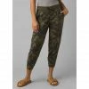 PrAna Cozy Up Ankle Pant | Women's