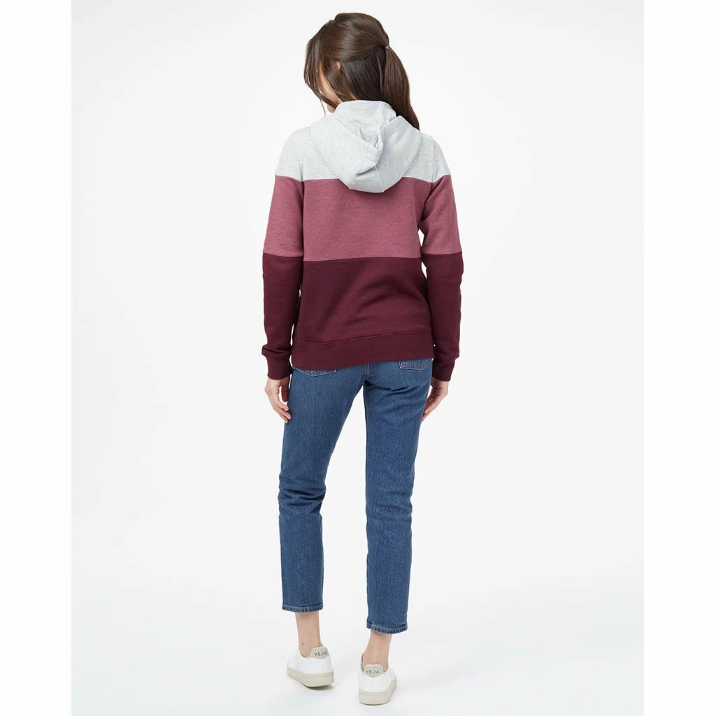 Tentree Clothing TreeFleece Blocked Banshee Hoodie | Women's