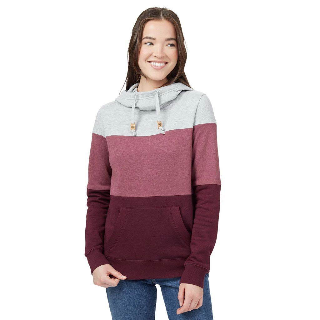 Tentree Clothing TreeFleece Blocked Banshee Hoodie | Women's